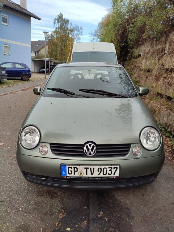 Lupo