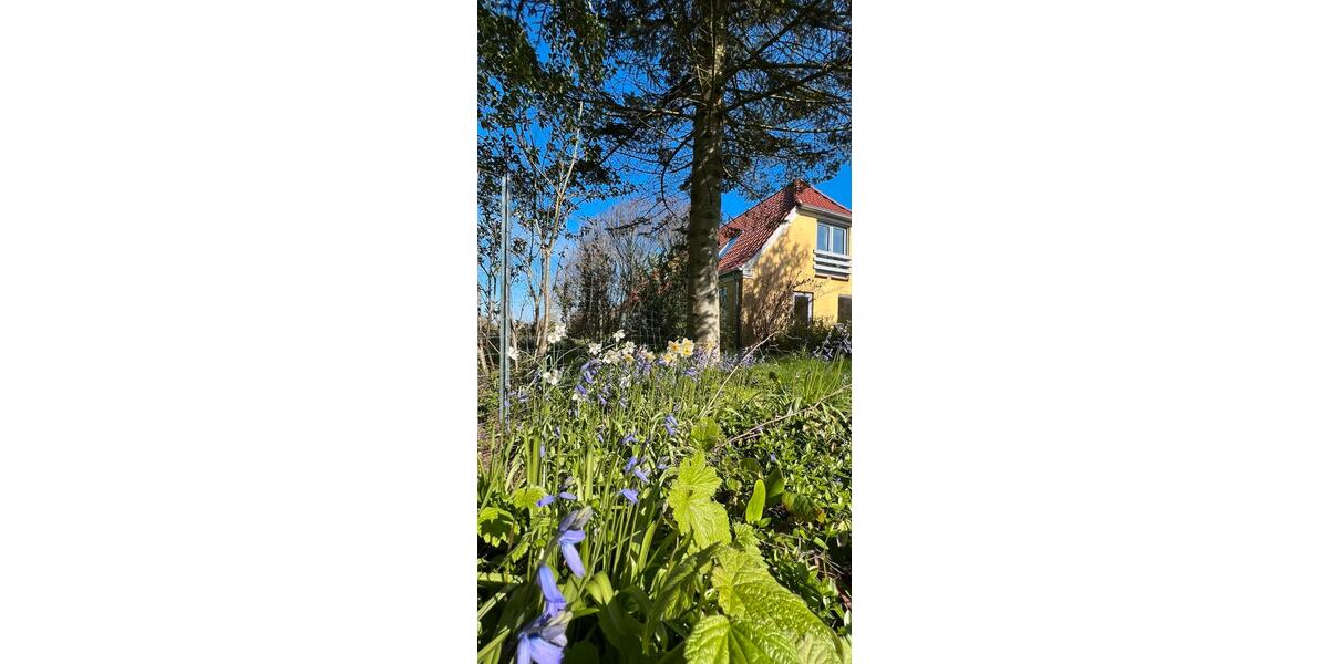 Bauernhaus, Landhaus Harrislee - 7 Zimmer, 235 m&sup2;, 208.000&euro; | Angebot:26690761