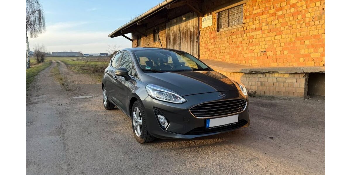 Ford Fiesta 99.965 km 10.500 &euro; Freimersheim 55234