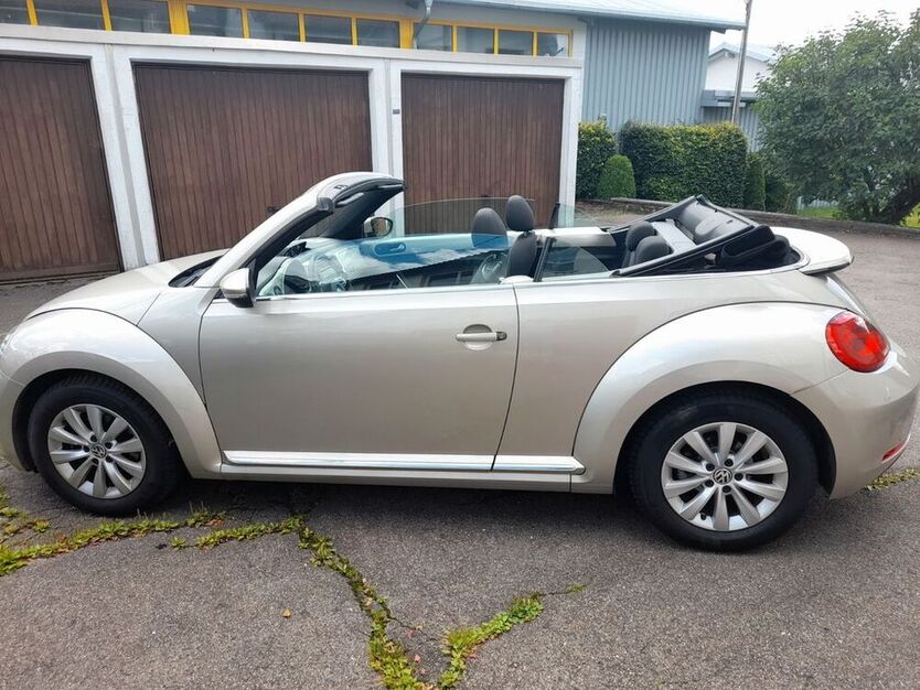 Beetle