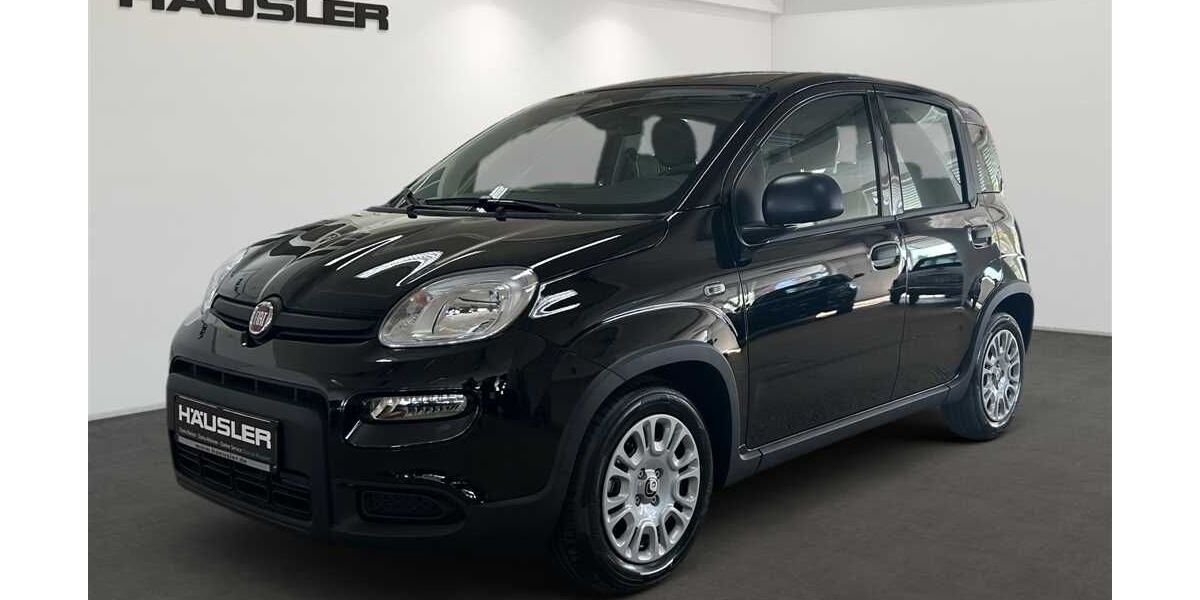 Fiat Panda 4.000 km 14.690 &euro; Stockdorf 82131