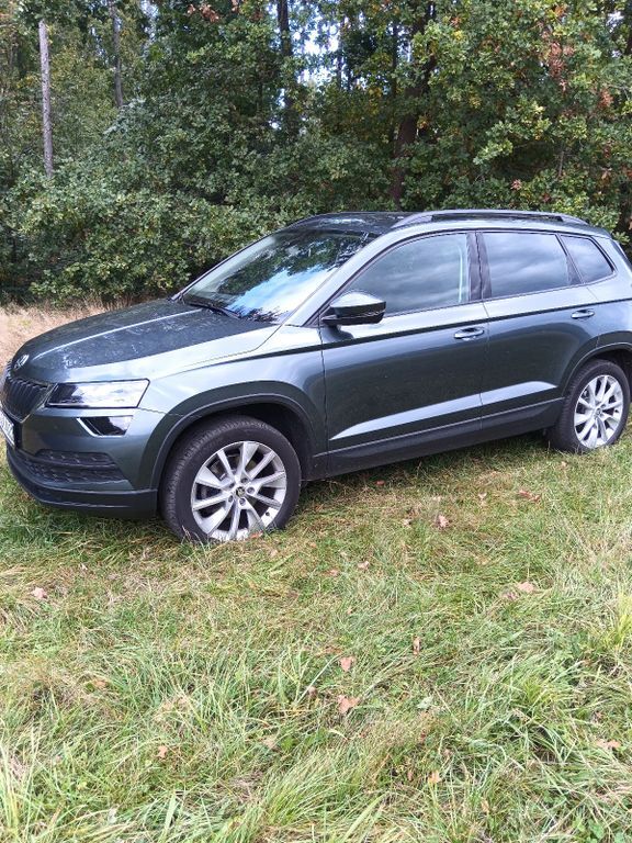 Skoda Karoq 130.800 km 19.450 € Mülsen 08132