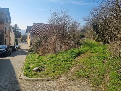 IHR TRAUM VOM HAUS, RUHIG AM FELDRAND zimmer