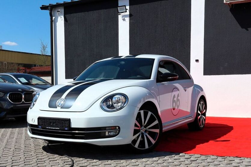 Beetle