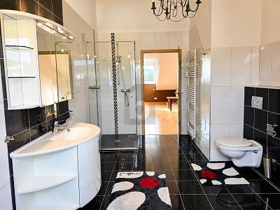 EXKLUSIVES WOHNEN ÜBER DEN DÄCHERN VON KONZ - Etagenwohnung Konz | Angebot:27109384