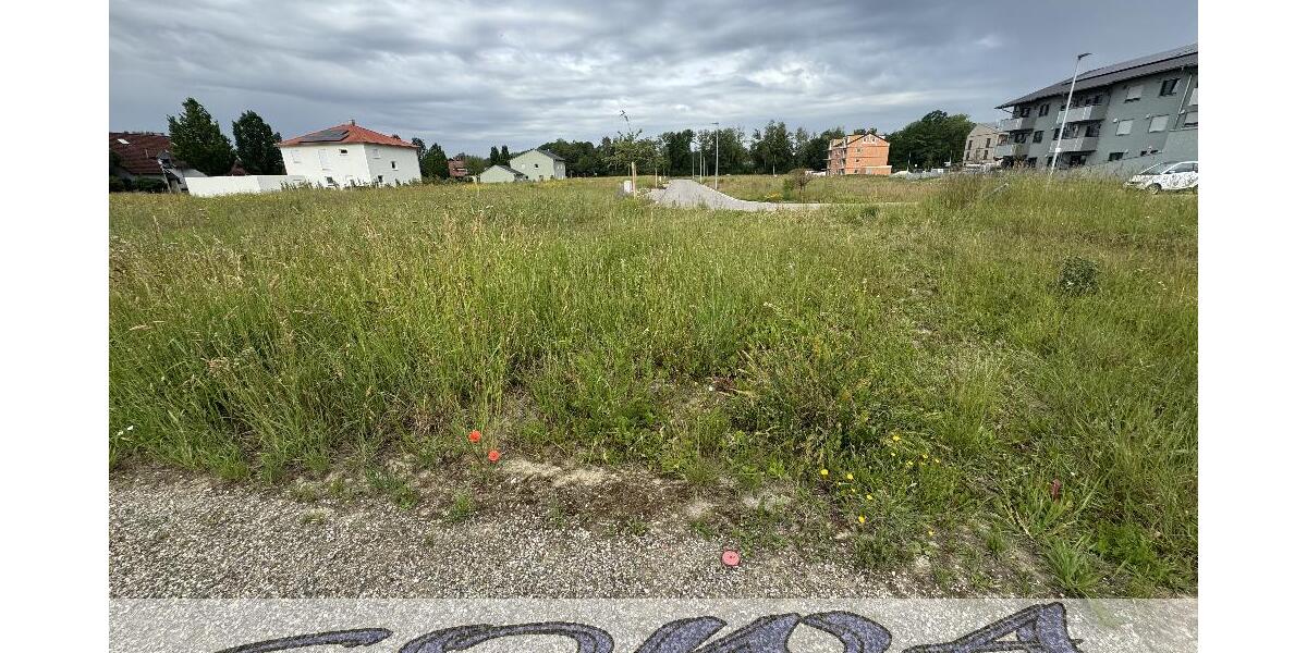 Baugrundstück Neuburg Heinrichsheim ohne Bauzwang - Ein Objekt von Ihrem Immobilienpartner SOWA Immobilien und Finanzen - Grundstück Neuburg | Angebot:27143414