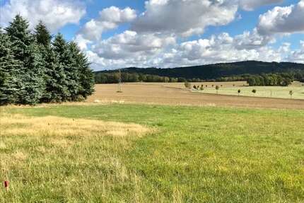 Grundstück zu verkaufen in Steina 250.000 € 2500 m²