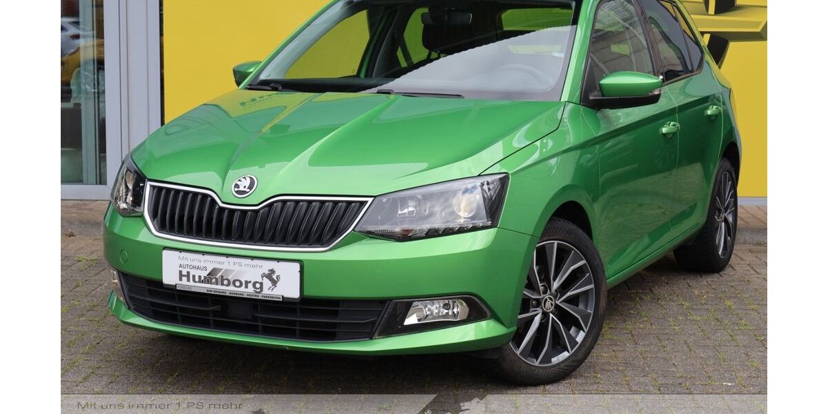 Skoda Fabia 105.000 km 7.650 &euro; Warburg 34414