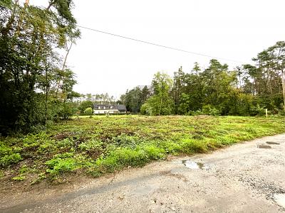 FREIRAUM FÜR IDEEN  BAUEN OHNE VORGABEN - Grundstück Nittenau | Angebot:25537463