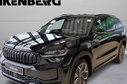 Skoda Kodiaq 1.200 km 47.980 &euro; Verden 27283