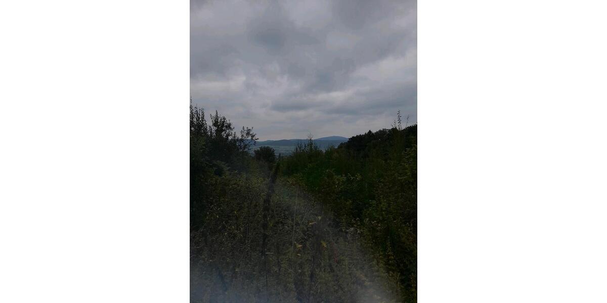 FerienhausWochenendhaus mit ca. 3.000 m² auf dem Warteberg zimmer