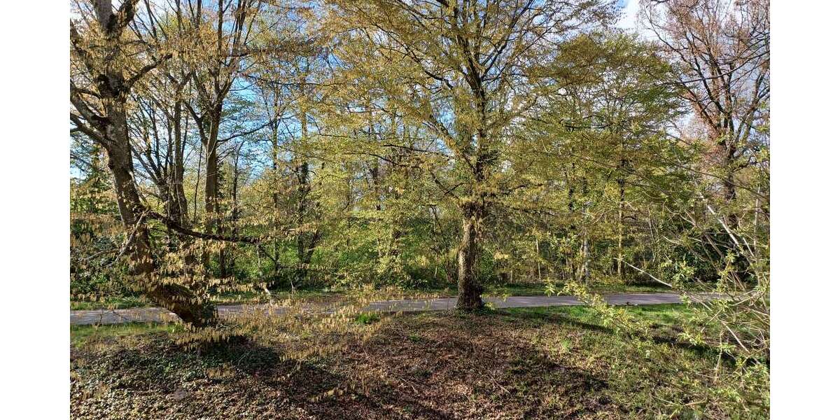 Etagenwohnung Karlsruhe-Bulach Bulach - 2 Zimmer, 73 m&sup2;, 315.000&euro; | Angebot:26064278