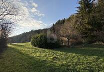 RUHE UND NATUR MIT EIGENER QUELLE (KEIN BAULAND)