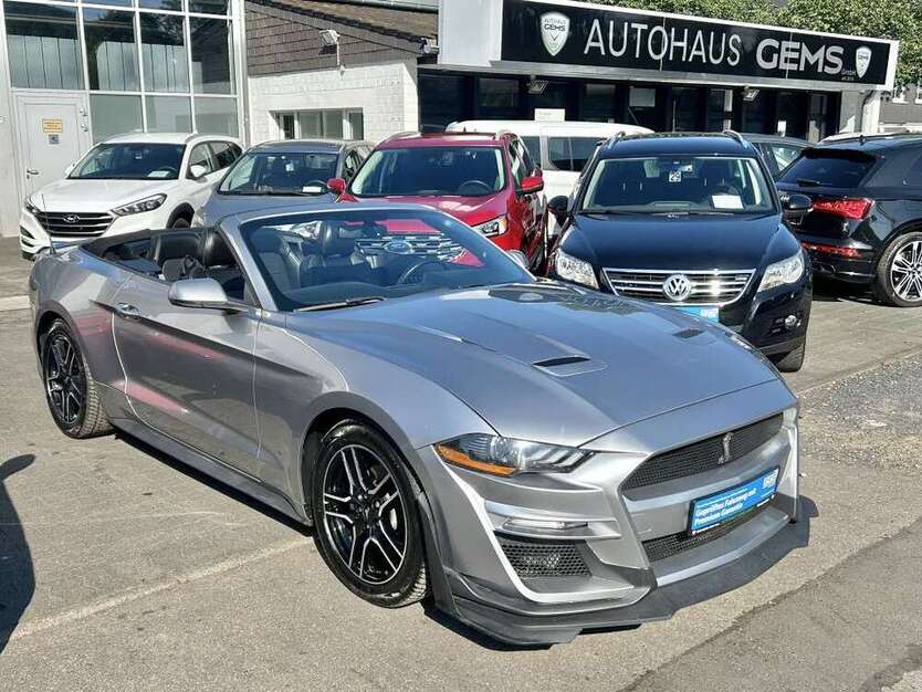 Mustang