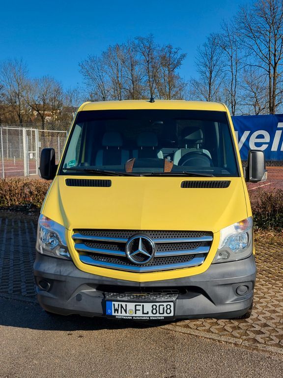 Sprinter
