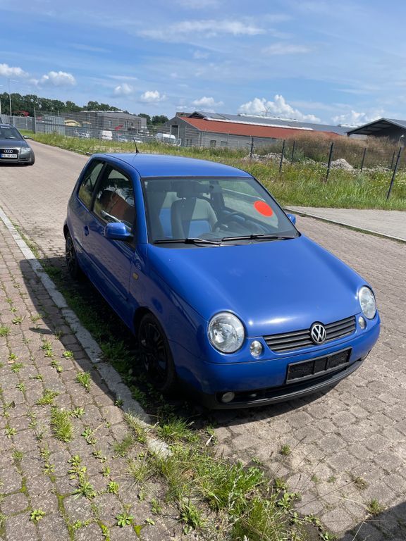 Lupo