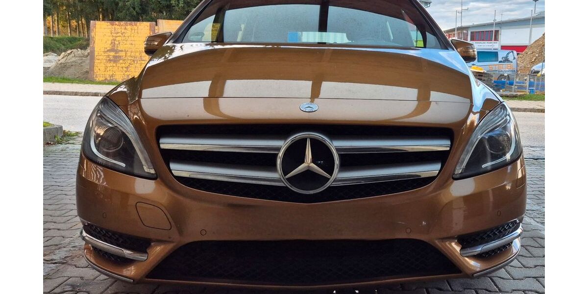 Mercedes-Benz B 200 239.000 km 6.500 &euro; Au in der Hallertau 84072