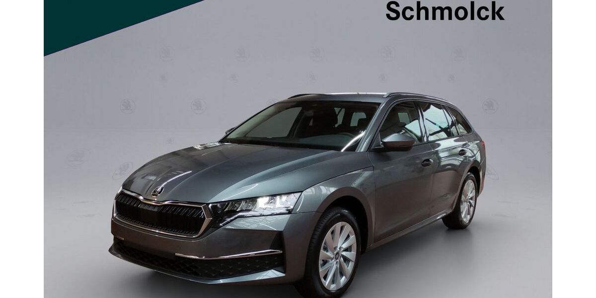 Skoda Octavia 52.000 km 28.490 &euro; Emmendingen 79312