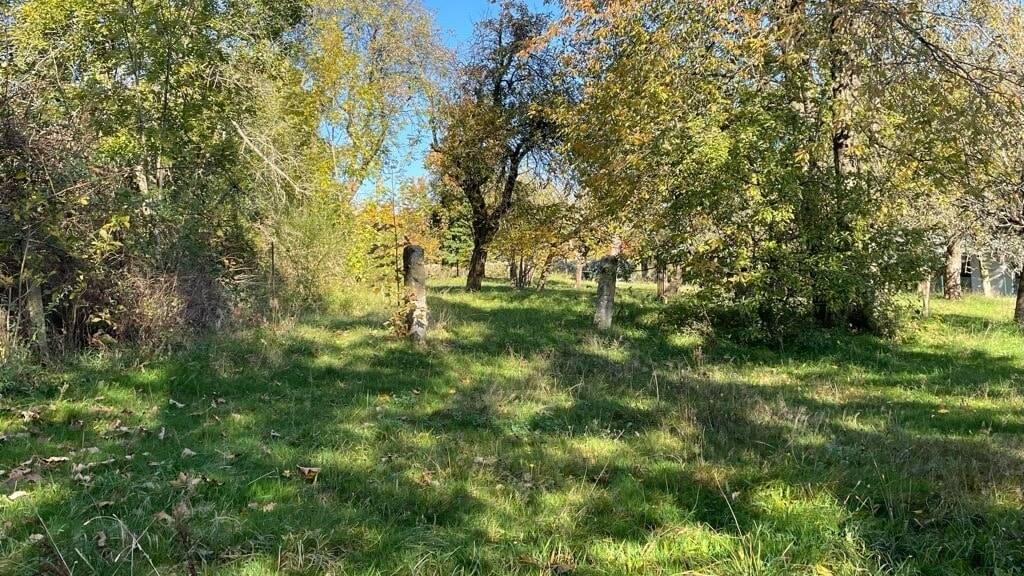 Grundstück Freital Weißig - 85.000&euro; | Angebot:23987562