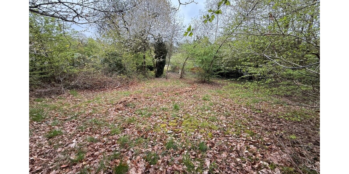 Kelkheim: Hier erfüllen Sie Ihren Traum! Idyllisches Grundstück im Wochenendgebiet - Grundstück Kelkheim | Angebot:26134206