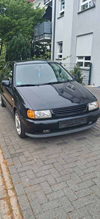 Polo