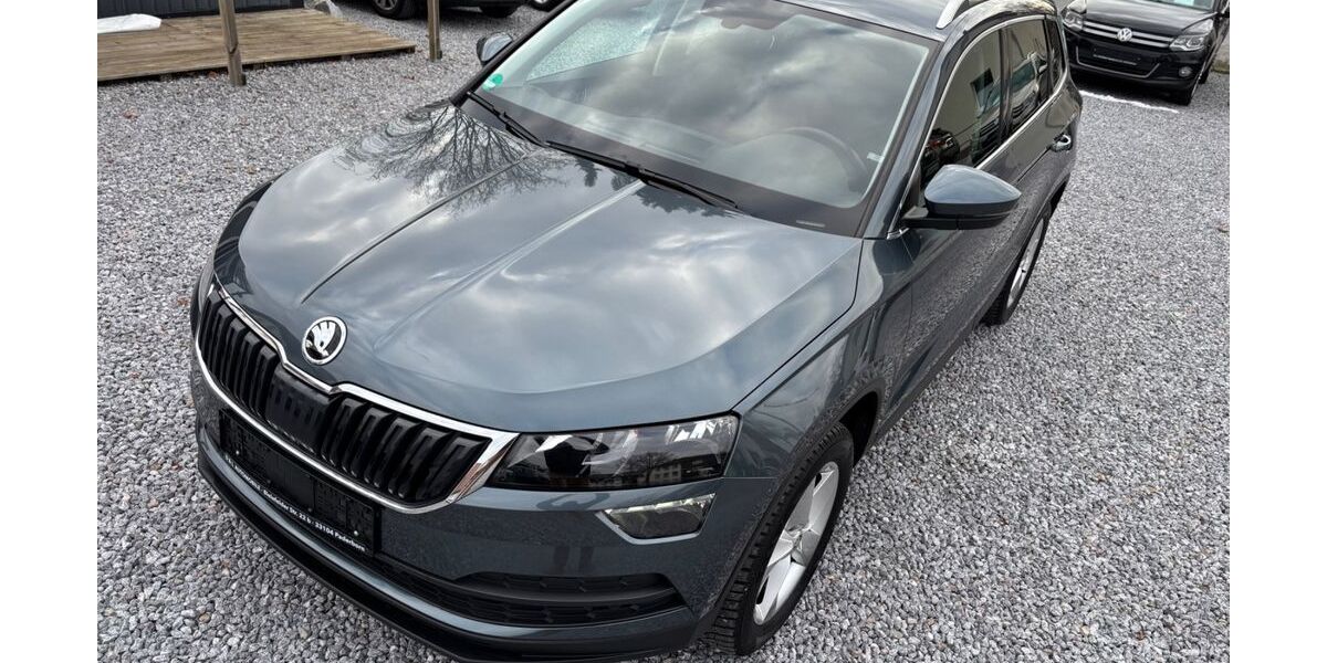 Skoda Karoq 92.235 km 18.990 &euro; Paderborn 33104