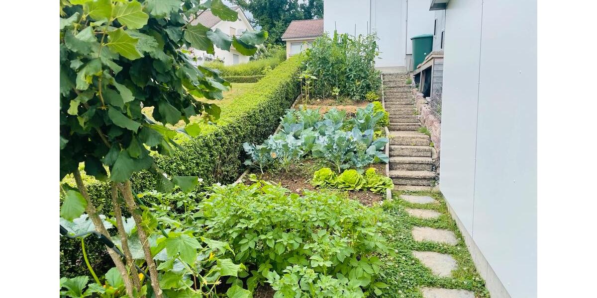 Einfamilienhaus Laufenburg (Baden) - 6 Zimmer, 191 m&sup2;, 790.000&euro; | Angebot:26946932