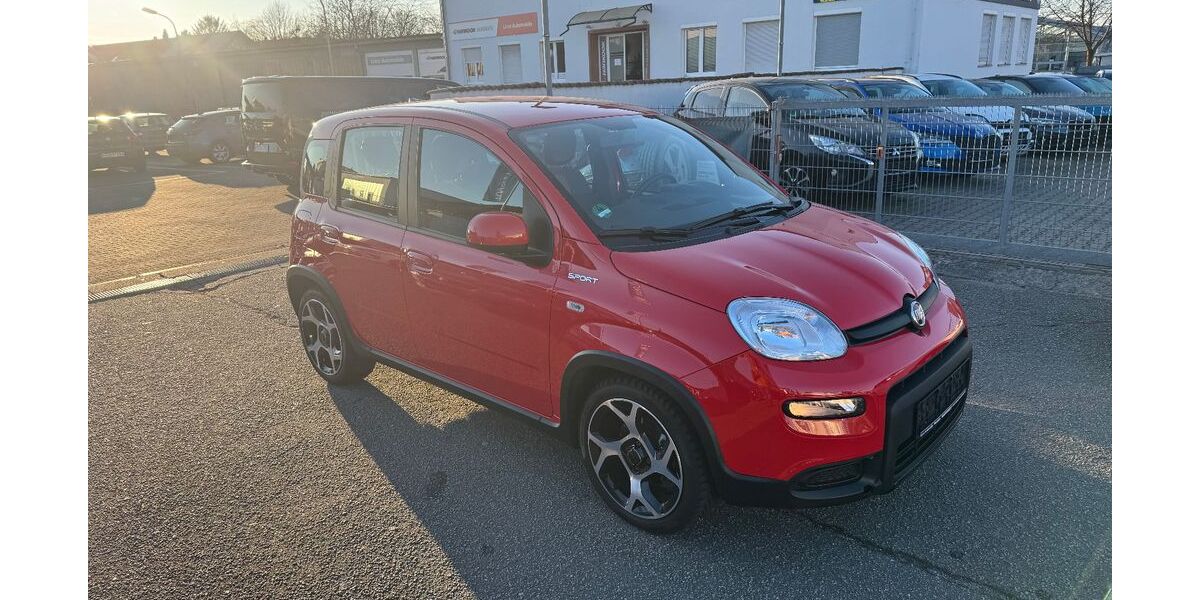 Fiat Panda 16.000 km 10.490 &euro; Weinheim 69469