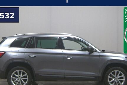 Skoda Kodiaq 101.176 km 24.980 &euro; Gyhum/Bockel 27404
