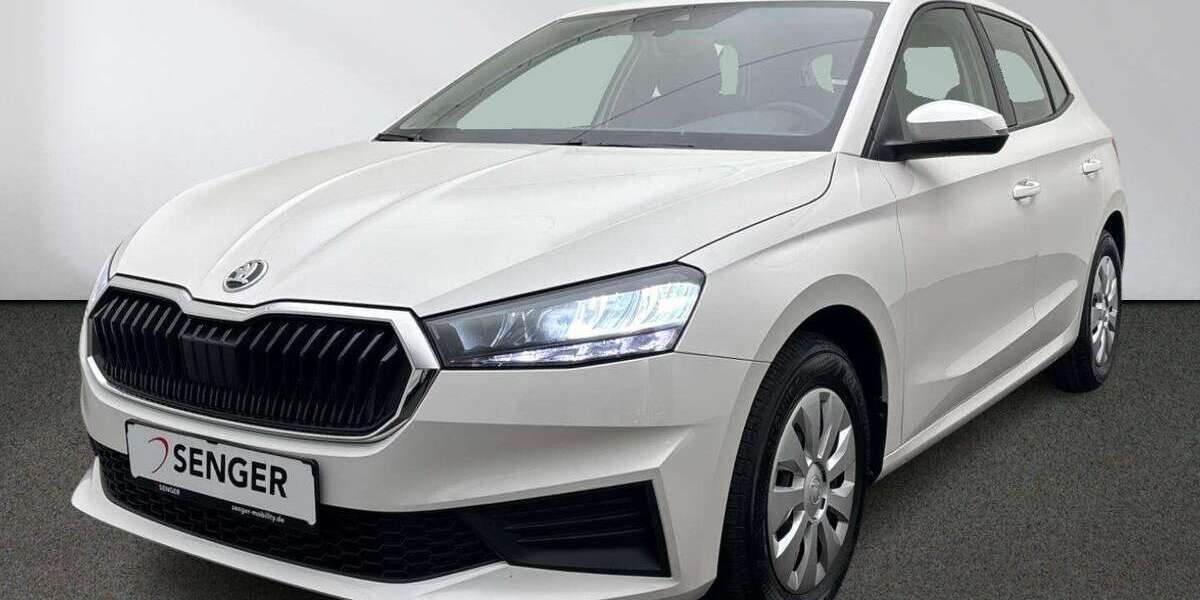 Skoda Fabia 19.966 km 13.880 &euro; Emsdetten 48282