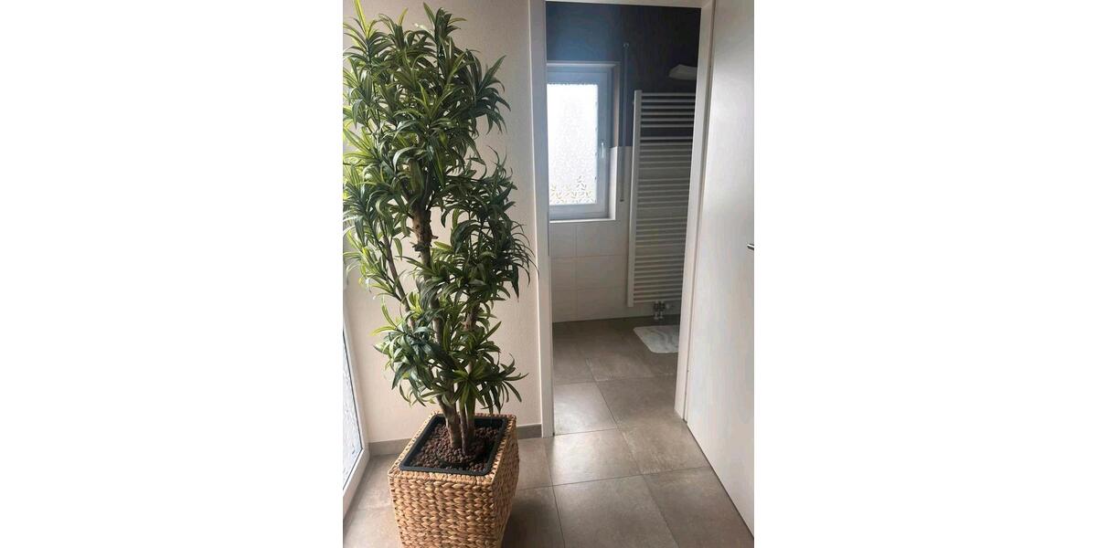 Gewerbeobjekt Hungen - 850&euro; | Angebot:25935510