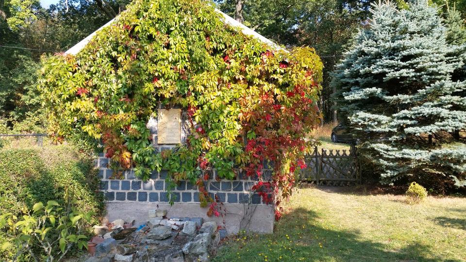 Terrassenwohnung Laucha an der Unstrut - 1 Zimmer, 56 m&sup2;, 35.000&euro; | Angebot:26020746