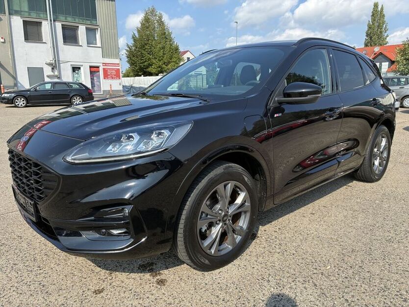 Kuga