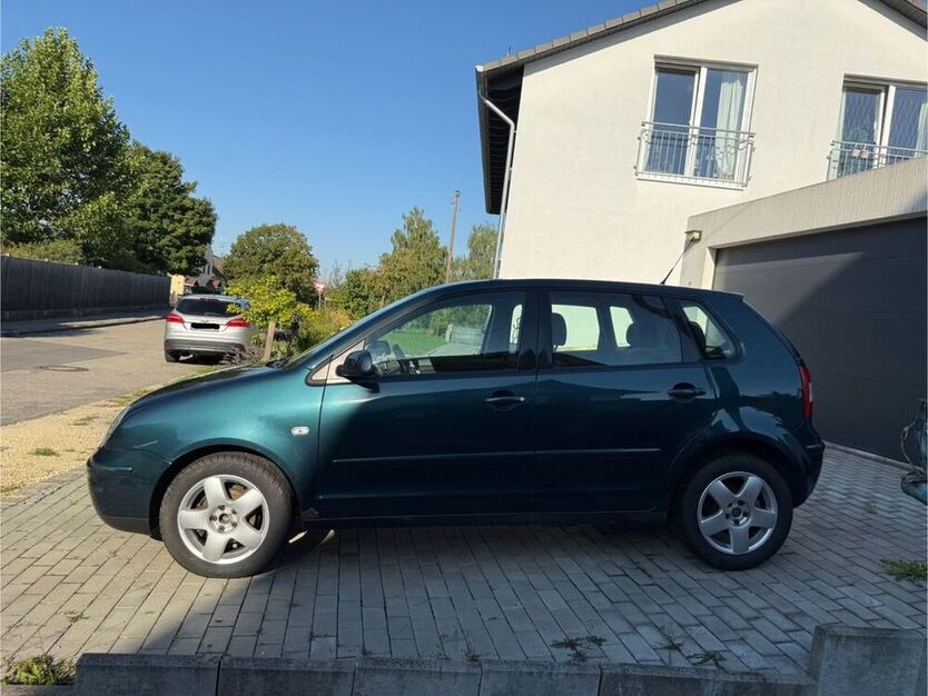 Polo