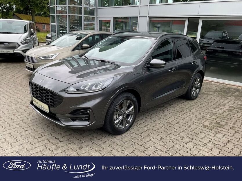 Kuga