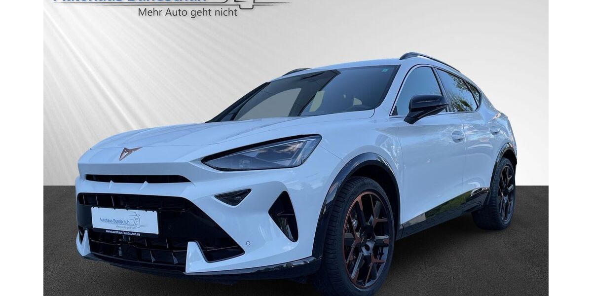 Cupra Formentor 3.500 km 42.990 &euro; Reichelsheim 64385