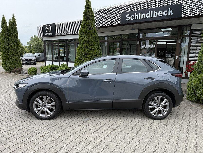 CX-30
