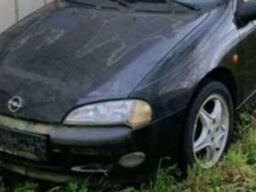 Tigra