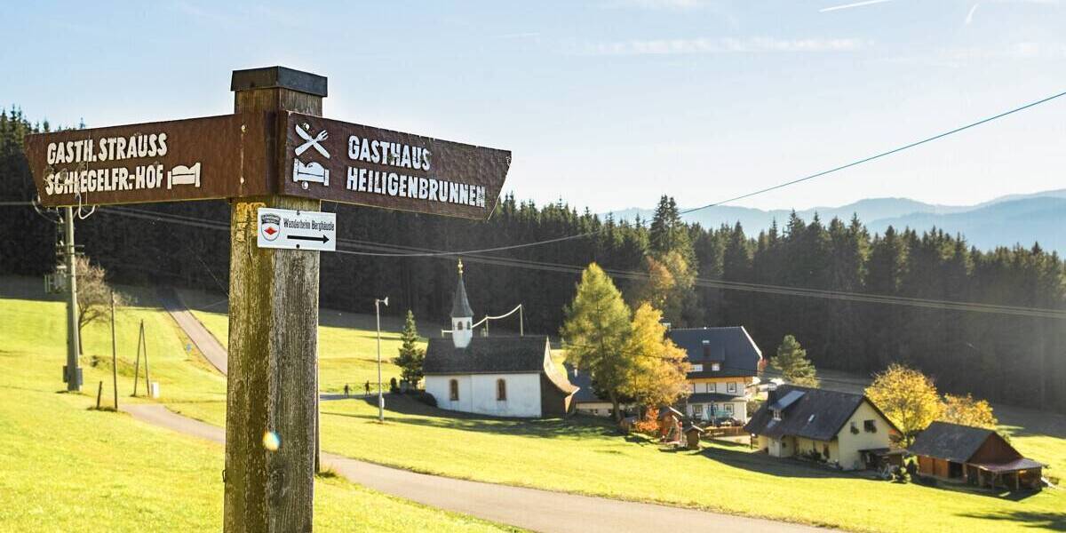 Mehrfamilienhaus, Wohnhaus Titisee-Neustadt Titisee - 3 Zimmer, 101 m&sup2;, 749.000&euro; | Angebot:26274112