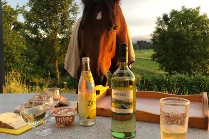 Wohnung Durach - 2 Zimmer, 113 m&sup2;, 1.400&euro; | Angebot:25150830