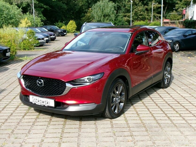 CX-30