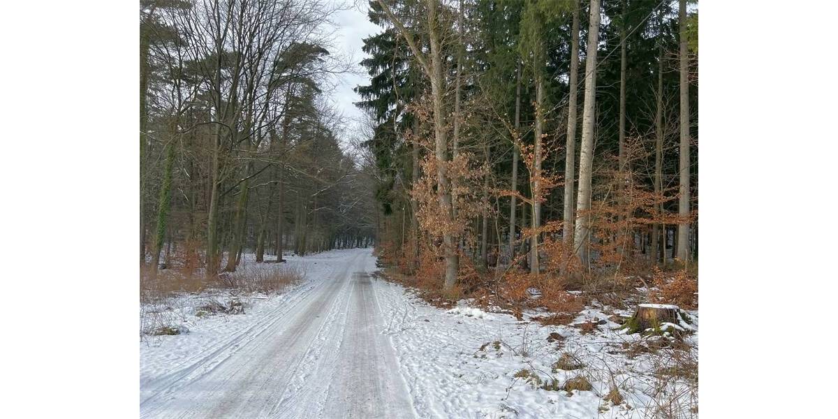 Grundstück Rosengarten Vahrendorf - 315.000&euro; | Angebot:25672633