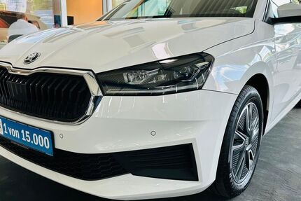 Skoda Fabia 11.080 km 17.490 &euro; Wetter 58300