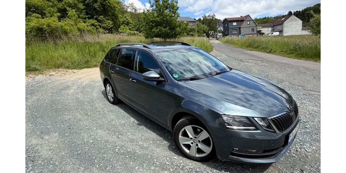 Skoda Octavia 227.000 km 9.800 &euro; Kelkheim 65779