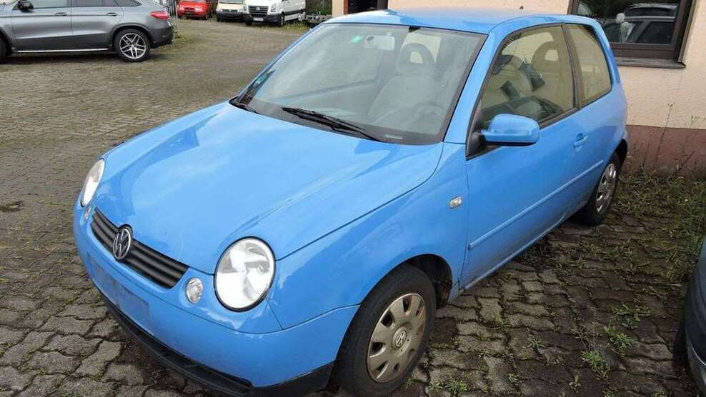 Lupo