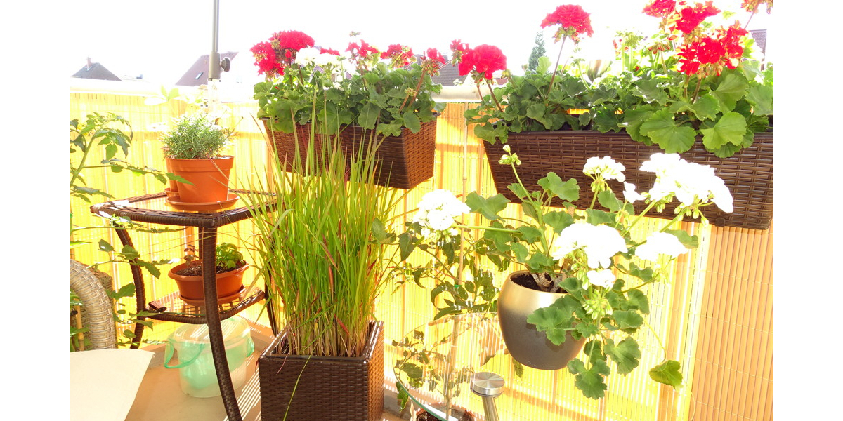 Gemütliche 3-Zimmer-Eigentumswohnung für Ihre Familie oder als Kapitalanlage 3 zimmer