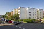 Erdgeschoßwohnung Neustadt an der Weinstraße - 2 Zimmer, 75 m&sup2;, 799&euro; | Angebot:22939612