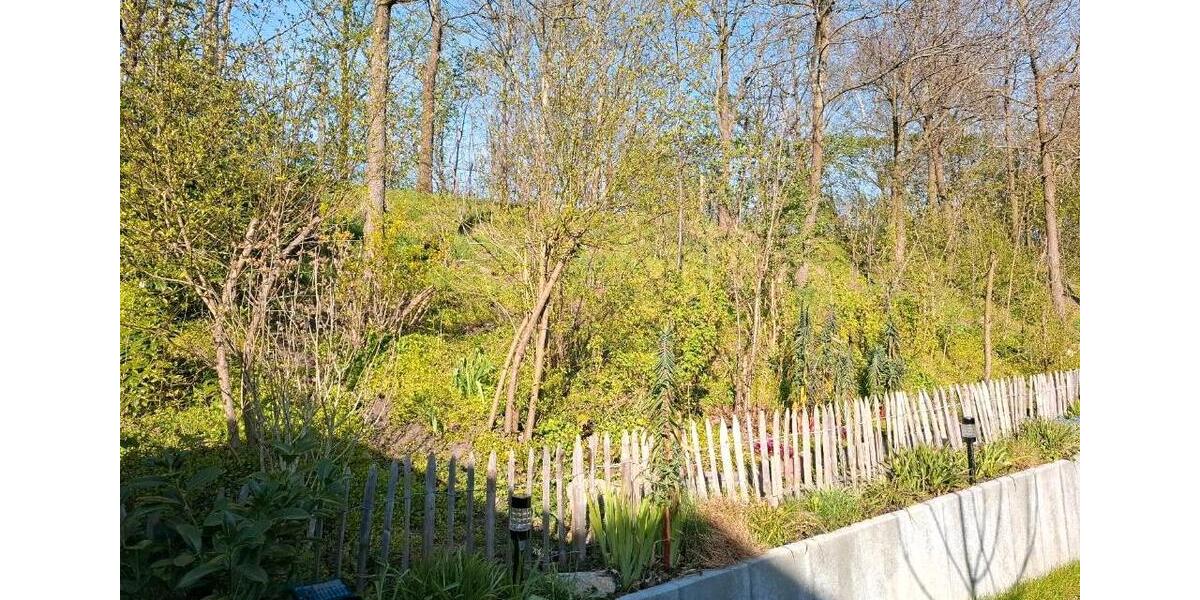 Einfamilienhaus Scheeßel - 5 Zimmer, 155 m&sup2;, 649.000&euro; | Angebot:26114498