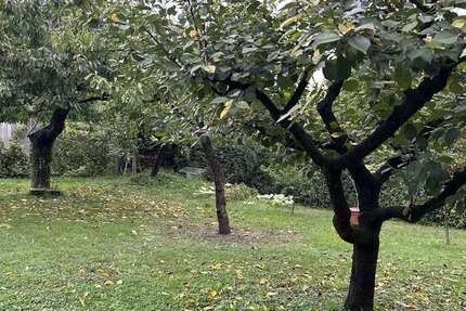 Haus zum Kaufen in Schwaigern 530.000 € 135 m² 6 zimmer