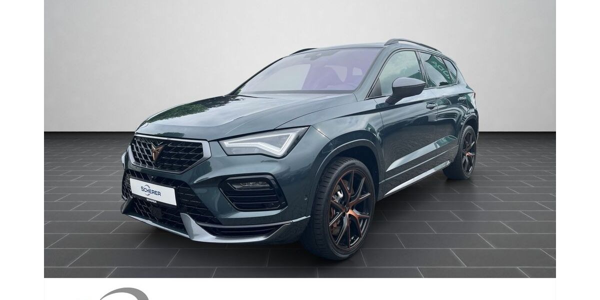 Cupra Ateca 91.529 km 30.980 &euro; Mainz 55129
